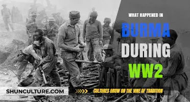 Unveiling Burma's WWII Saga: A Journey Through Conflict and Resilience