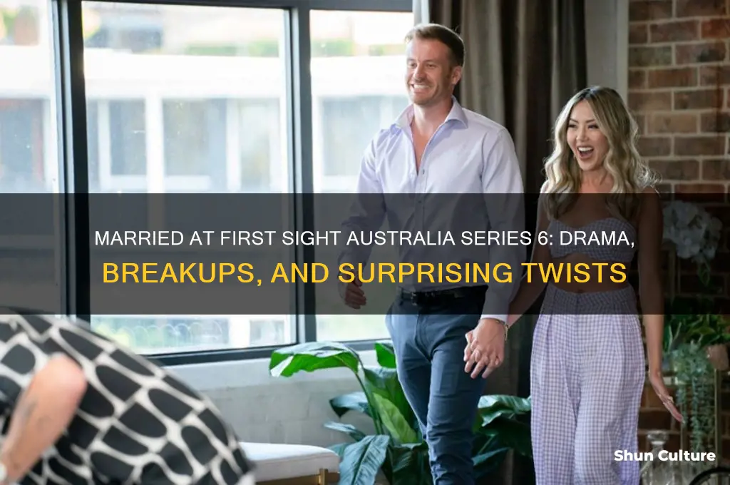 what happened in married at first sight australia series 6
