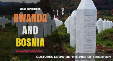 Genocide's Shadow: Rwanda and Bosnia's Tragic Histories Compared