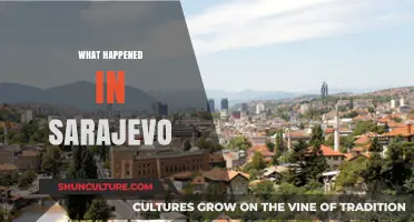 Sarajevo's Turning Point: Unraveling the Events That Changed History