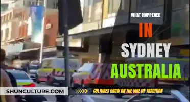 Sydney's Shocking Incident: Unraveling the Recent Events in Australia