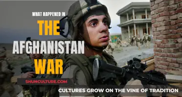 The Afghanistan War's Lingering Legacy: A Nation's Struggle and the World's Response