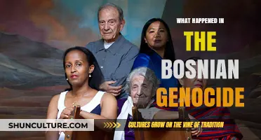 The Bosnian Genocide: Uncovering the Devastating Truth and Aftermath