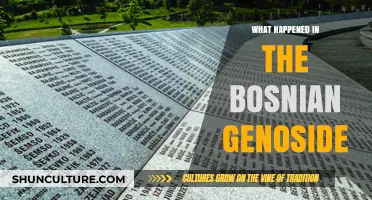 The Bosnian Genocide: Uncovering the Tragic Events and Aftermath