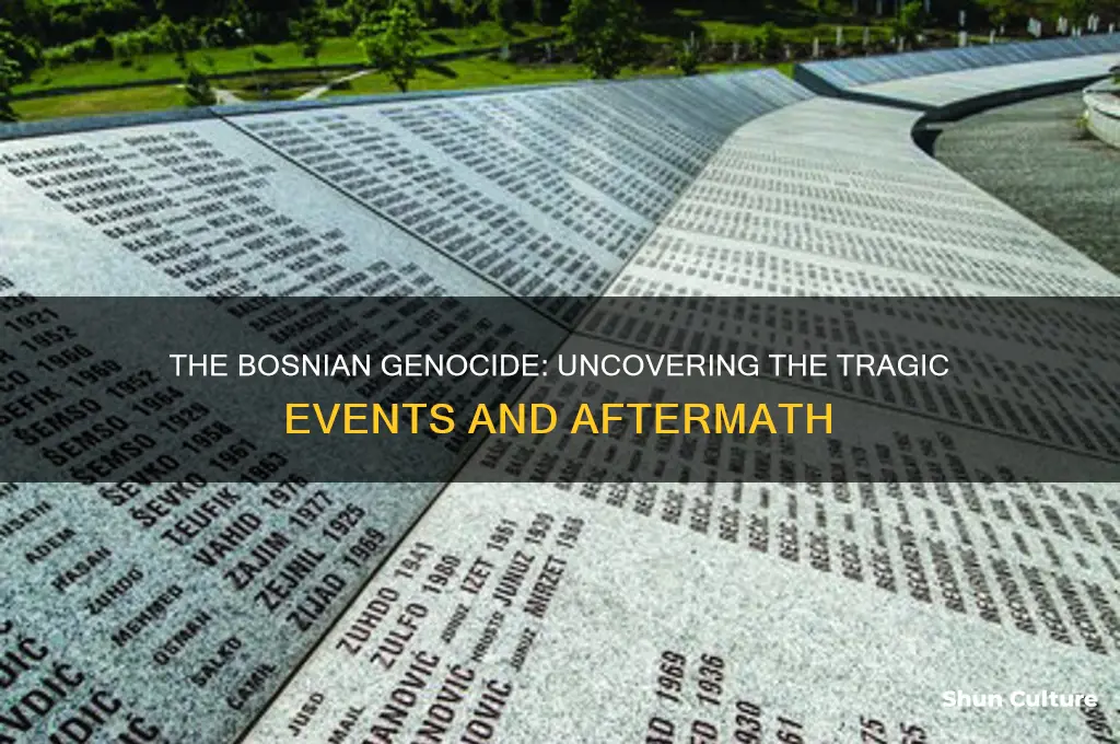 what happened in the bosnian genoside