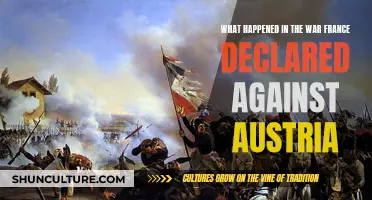 France's War Against Austria: A Conflict Unveiled