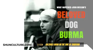 The Untold Story of John McCain's Loyal Companion, Burma
