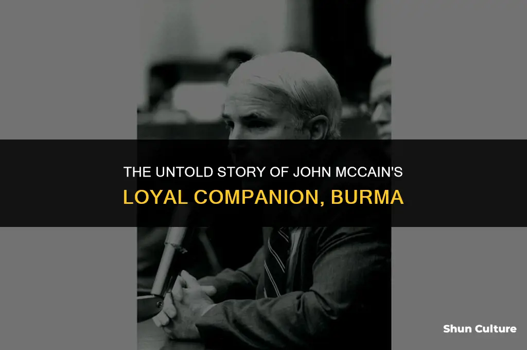 what happened john mccain