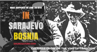 Sarajevo Assassination: June 28, 1914 Sparks World War I