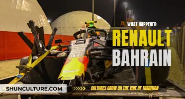 Renault's Bahrain GP: What Went Wrong?