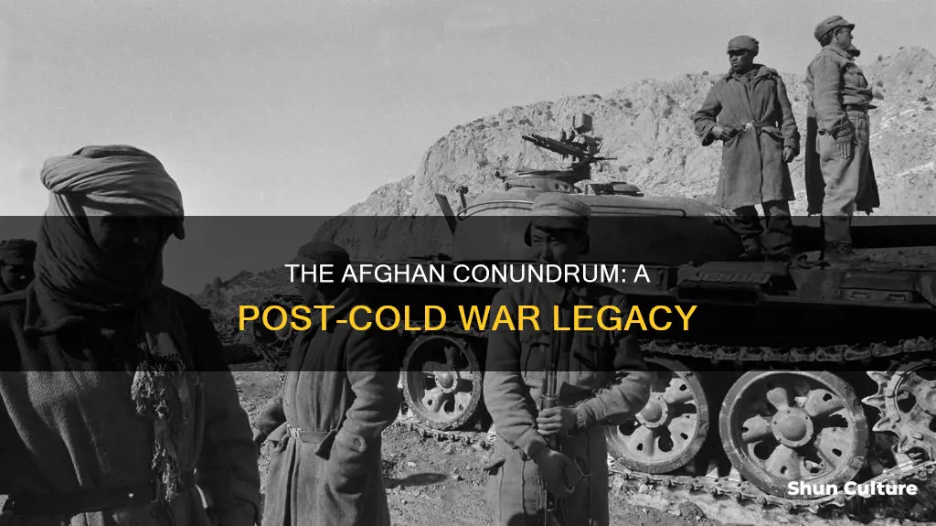 what happened to afghanistan after the cold war