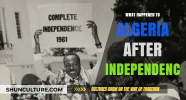 Algeria's Post-Independence Journey: Challenges, Struggles, and Transformation