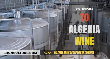 The Rise, Fall, and Legacy of Algeria's Lost Wine Industry