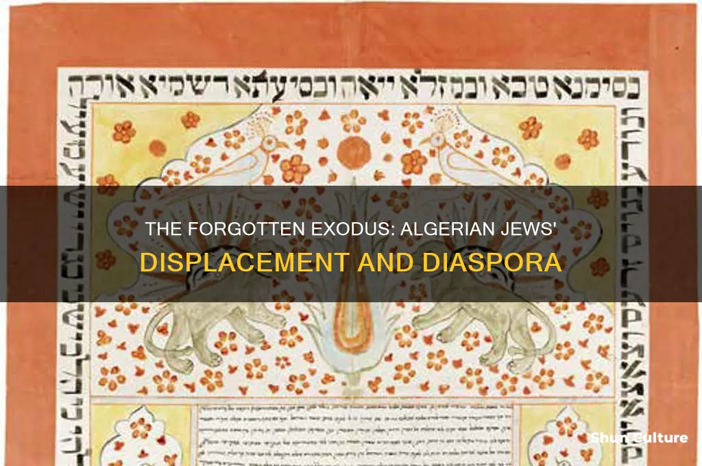 what happened to algerian jews