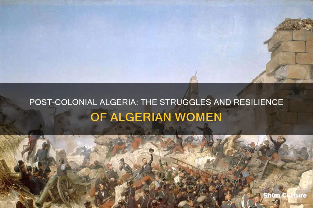 what happened to algerian women after colonization