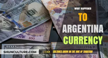 The Rollercoaster Ride: Argentina's Currency Crisis Explained