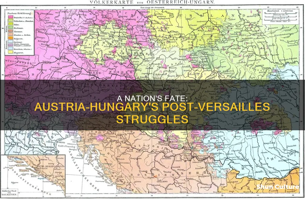 what happened to austria hungary after the treaty of versailles