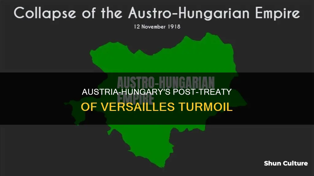 what happened to austria hungary after the treaty of versailles