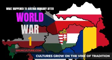 Austria-Hungary's Post-WWI Fate: A Geopolitical Shift