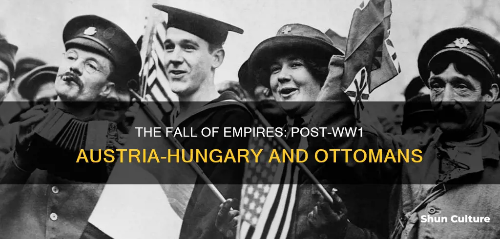 what happened to austria-hungary and the ottoman empire after ww1