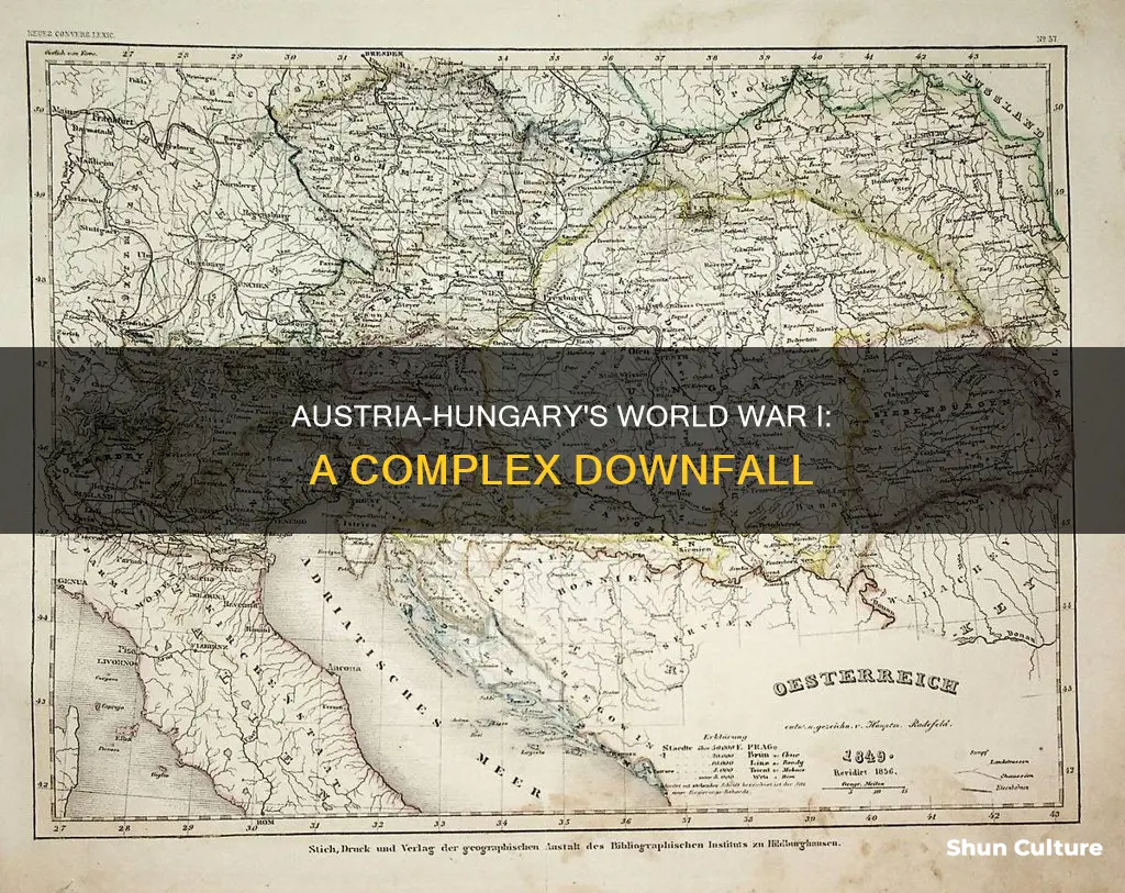what happened to austria hungary in world war 1