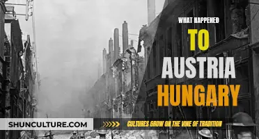 Austerity's End: The Fall of Austria-Hungary