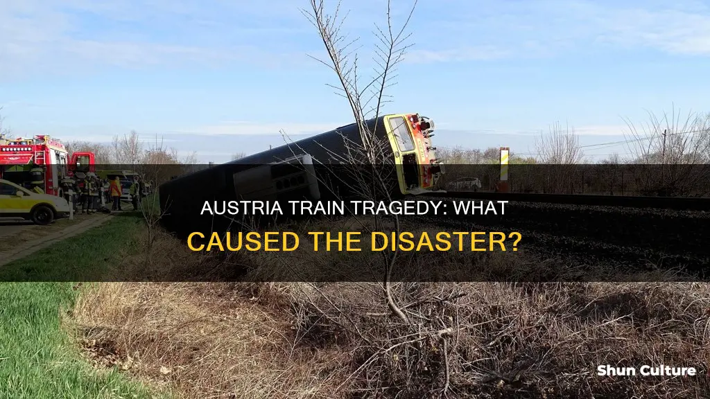 what happened to austria train