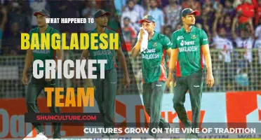 Bangladesh Cricket Team's Recent Struggles: Causes and Future Prospects