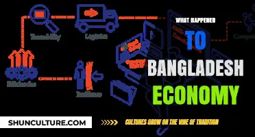 Bangladesh's Economic Transformation: Challenges, Resilience, and Future Prospects
