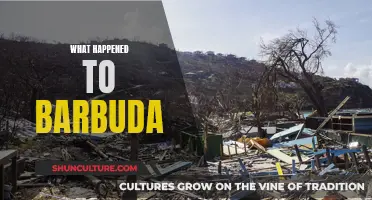 Barbuda's Resilience: A Story of Survival and Recovery