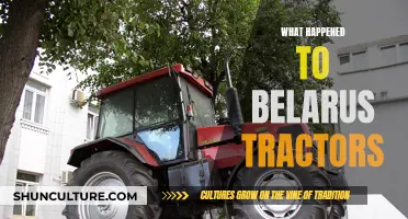 The Curious Case of Belarus Tractors: What Went Wrong?