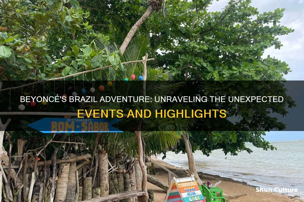 what happened to beyonce in brazil