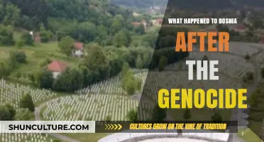 Bosnia's Post-Genocide Journey: Recovery, Reconciliation, and Rebuilding a Nation