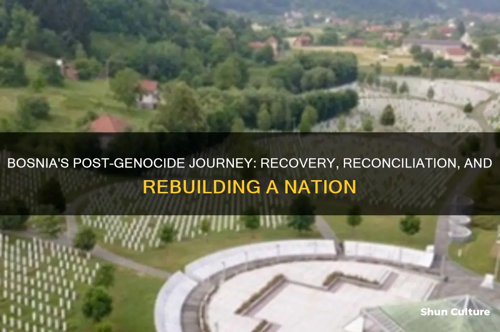 what happened to bosnia after the genocide