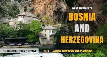Bosnia and Herzegovina's Turbulent Past: Unraveling the Nation's Struggles and Resilience