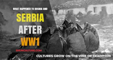 Post-WW1 Balkans: Bosnia and Serbia's Turbulent Paths to Recovery