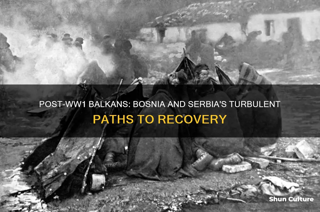 what happened to bosnia and serbia after ww1