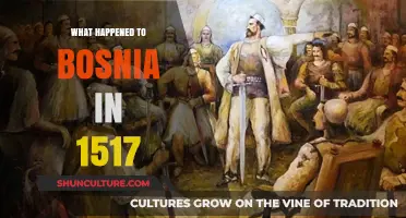 Bosnia's 1517 Ottoman Conquest: A Turning Point in History