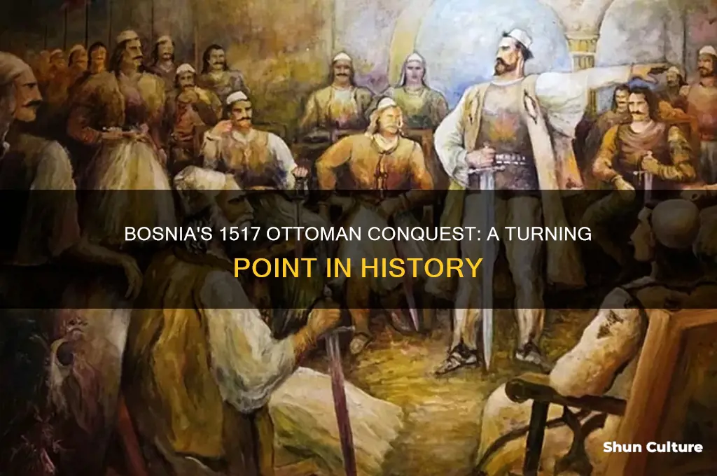 what happened to bosnia in 1517