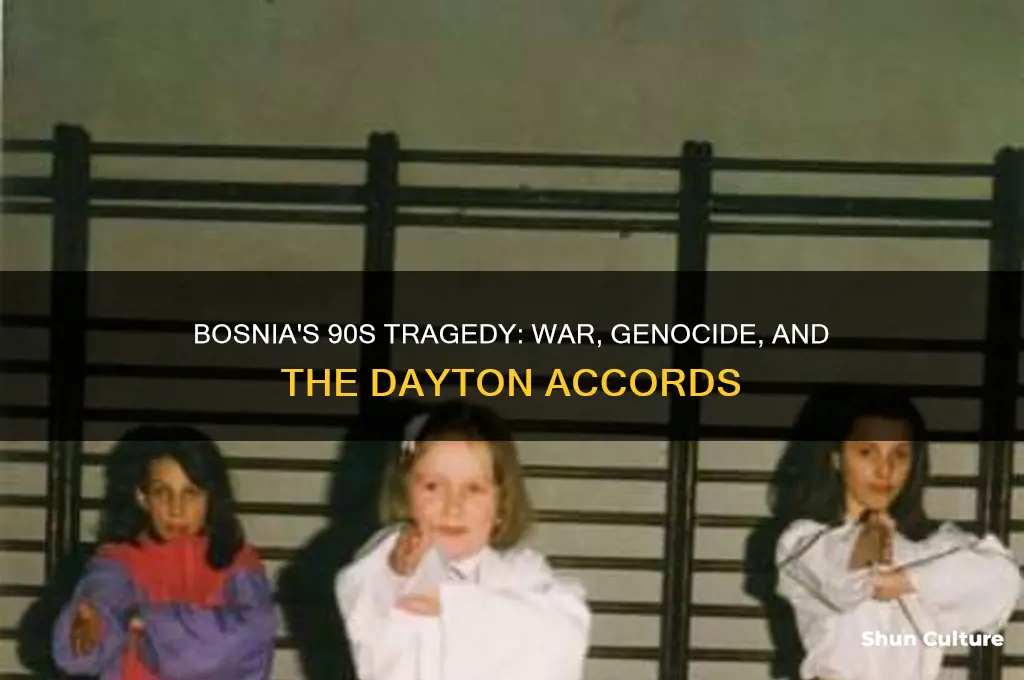 what happened to bosnia in the 90s