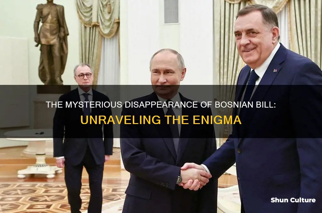 what happened to bosnian bill