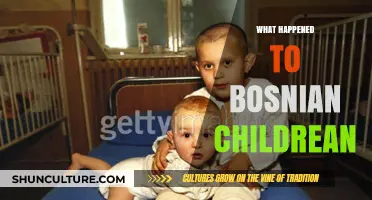 The Lost Innocence: Bosnia's Children and the Aftermath of War