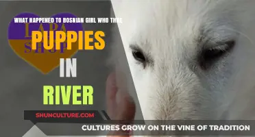 Bosnian Girl's Puppy River Incident: Aftermath and Public Outcry
