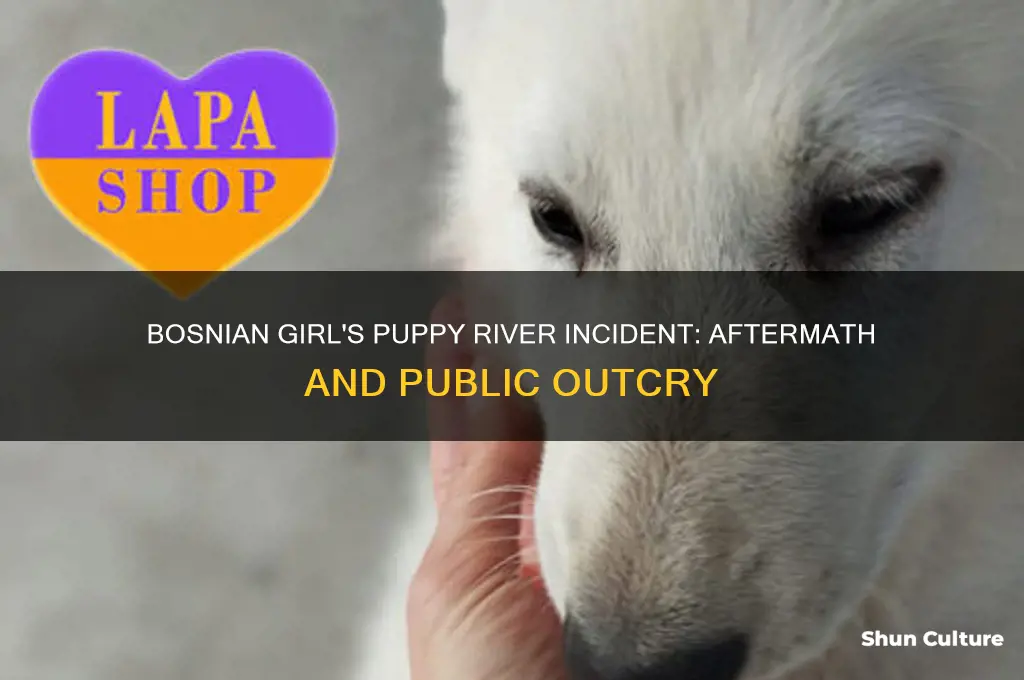 what happened to bosnian girl who thre puppies in river