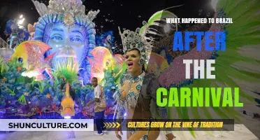 Brazil's Post-Carnival Reality: Economic Shifts and Cultural Aftermath Explored