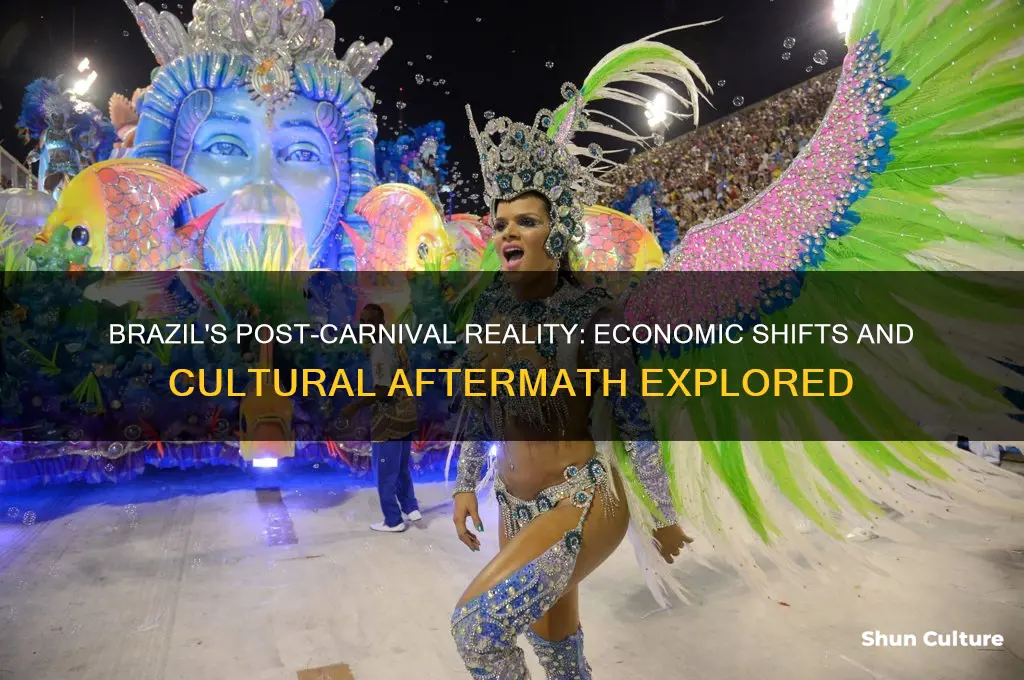 what happened to brazil after the carnival