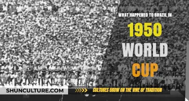 Brazil's 1950 World Cup Heartbreak: The Day Dreams Shattered