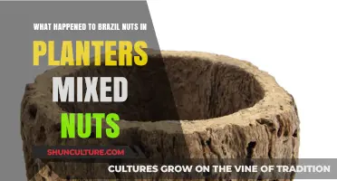 Why Brazil Nuts Disappeared from Planters Mixed Nuts Cans