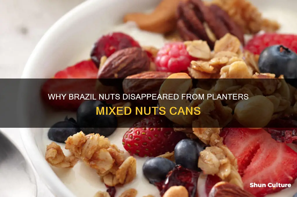 what happened to brazil nuts in planters mixed nuts
