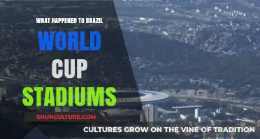 Brazil's World Cup Stadiums: Legacy or White Elephants?